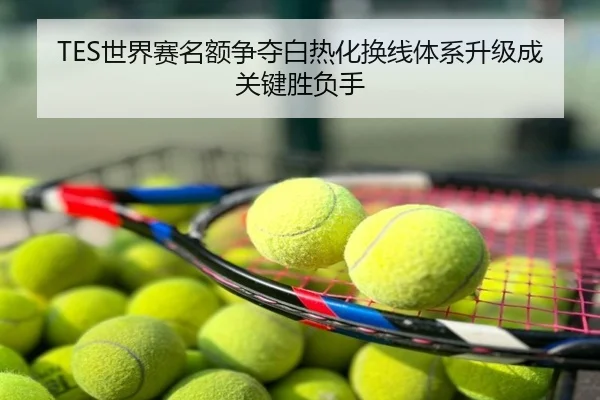 TES世界赛名额争夺白热化换线体系升级成关键胜负手